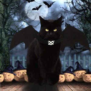 Pet Bat Wings Costume Pet Cosplay